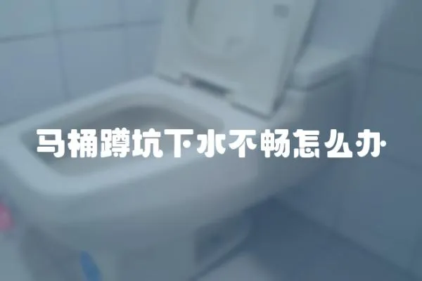 馬桶蹲坑下水不暢怎么辦