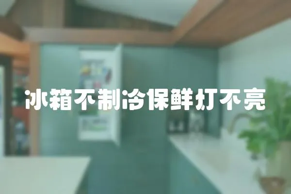 冰箱不制冷保鮮燈不亮