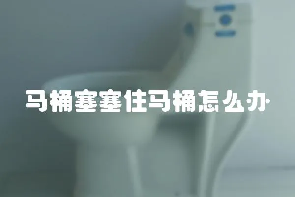 馬桶塞塞住馬桶怎么辦