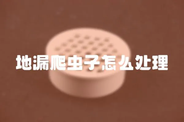 地漏爬蟲子怎么處理