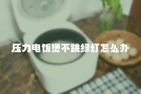 壓力電飯煲不跳綠燈怎么辦