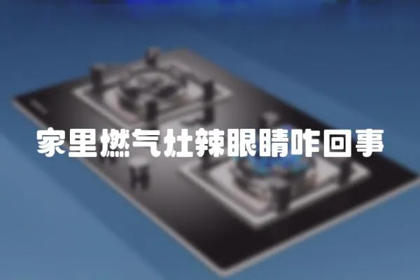 家里燃氣灶辣眼睛咋回事