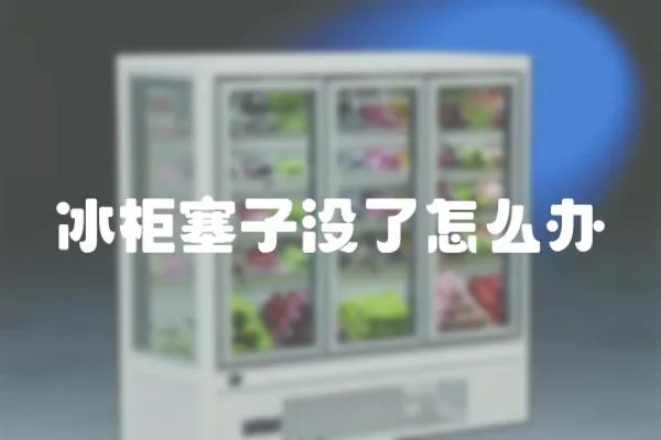 冰柜塞子沒了怎么辦