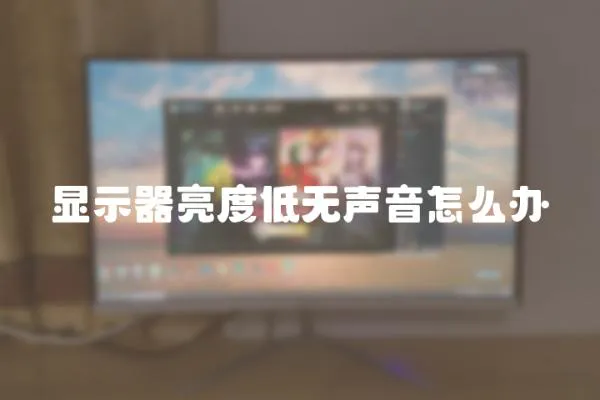 顯示器亮度低無聲音怎么辦