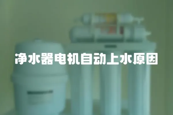 凈水器電機自動上水原因