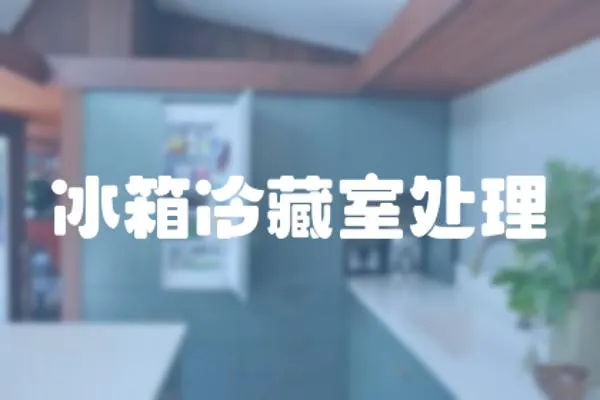 冰箱冷藏室處理