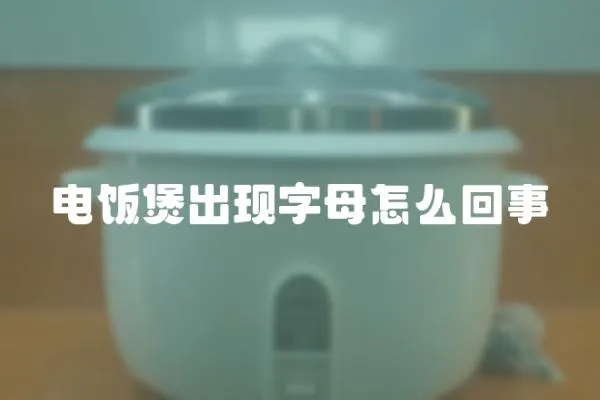電飯煲出現字母怎么回事