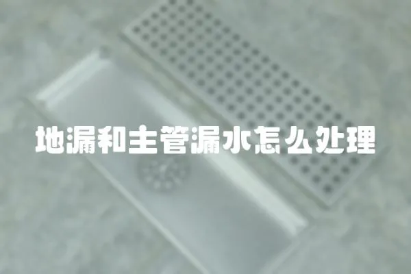 地漏和主管漏水怎么處理