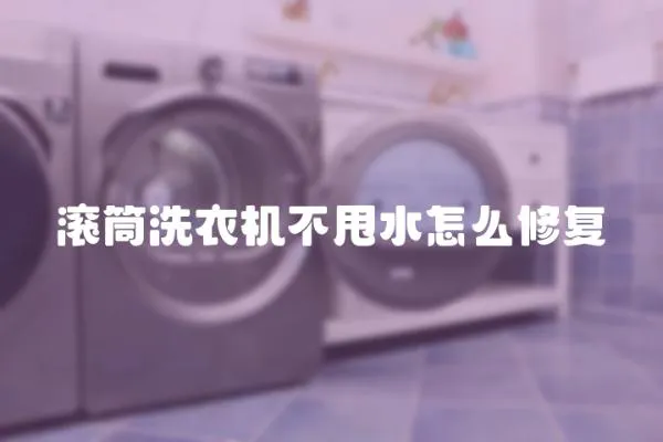 滾筒洗衣機不甩水怎么修復