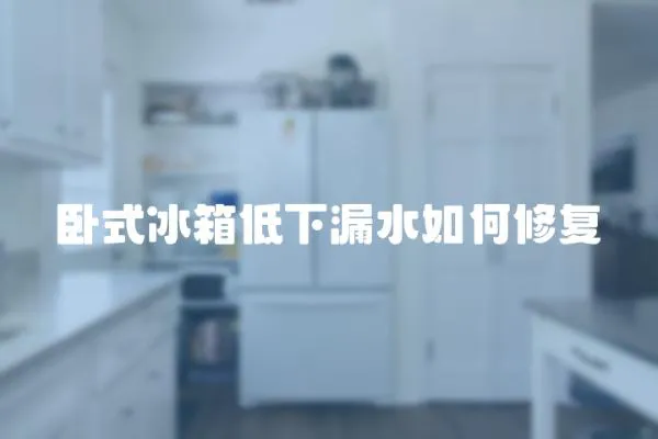 臥式冰箱低下漏水如何修復