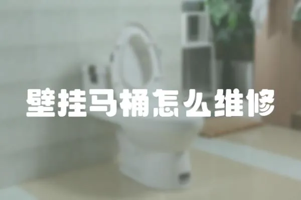 壁掛馬桶怎么維修