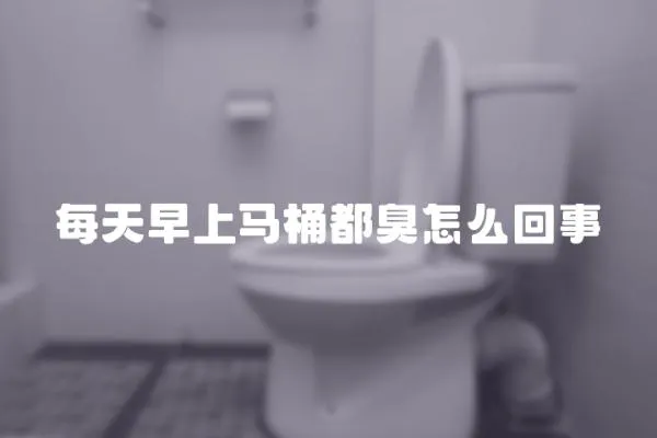 每天早上馬桶都臭怎么回事