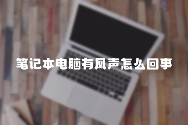筆記本電腦有風聲怎么回事