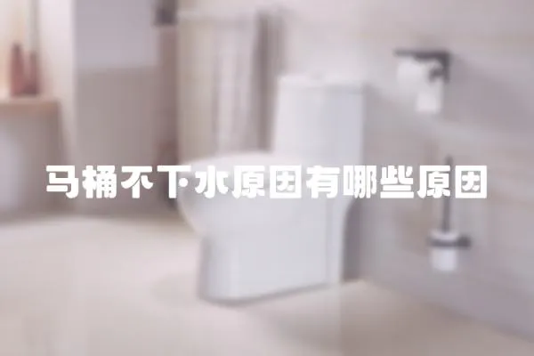 馬桶不下水原因有哪些原因