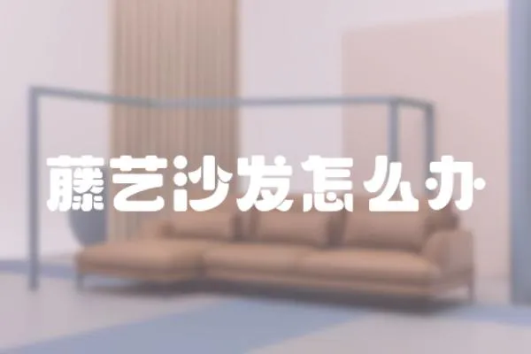 藤藝沙發(fā)怎么辦