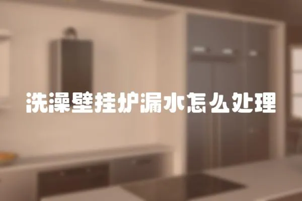 洗澡壁掛爐漏水怎么處理