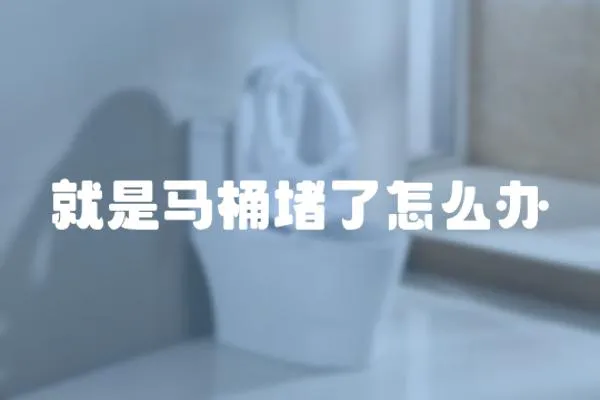 就是馬桶堵了怎么辦