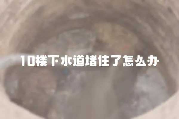 10樓下水道堵住了怎么辦