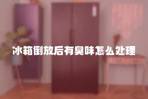 冰箱倒放后有臭味怎么處理