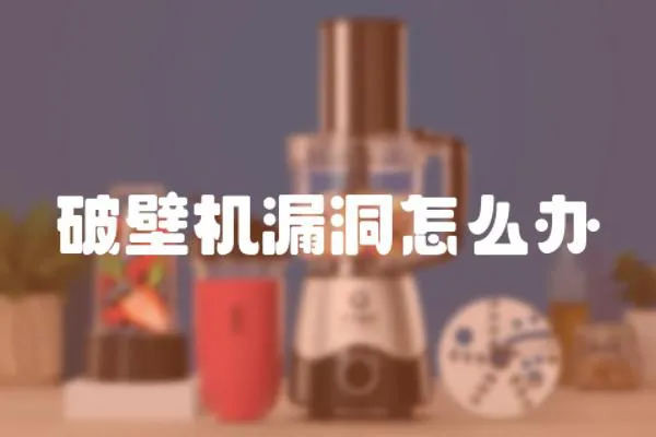 破壁機漏洞怎么辦