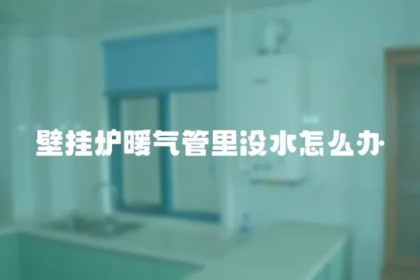 壁掛爐暖氣管里沒水怎么辦