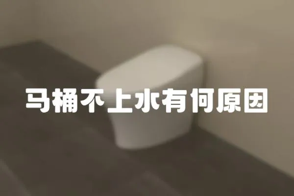 馬桶不上水有何原因