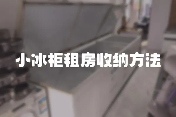 小冰柜租房收納方法