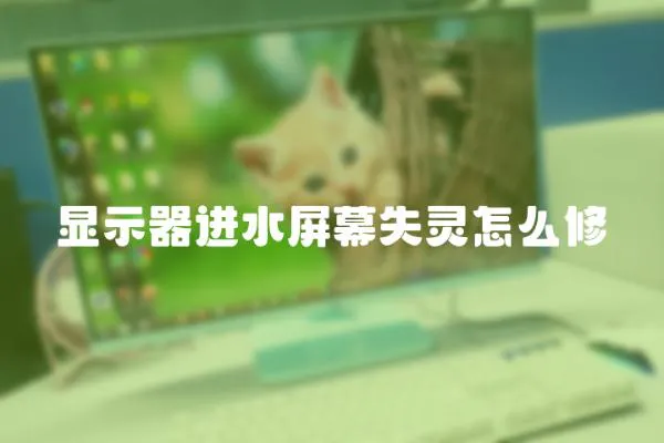 顯示器進(jìn)水屏幕失靈怎么修