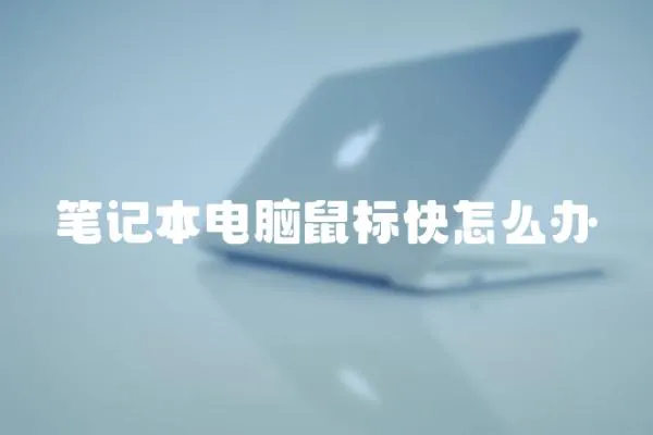筆記本電腦鼠標(biāo)快怎么辦