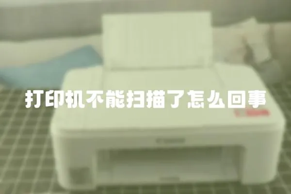 打印機不能掃描了怎么回事