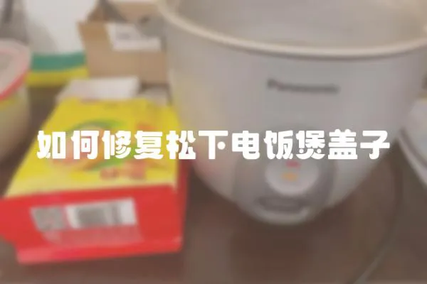 如何修復(fù)松下電飯煲蓋子