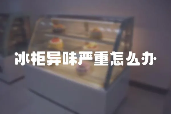 冰柜異味嚴重怎么辦