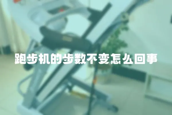 跑步機的步數不變怎么回事