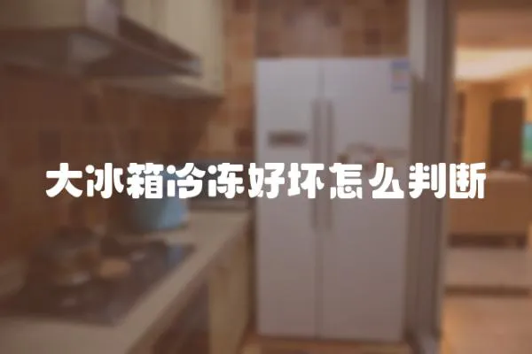大冰箱冷凍好壞怎么判斷