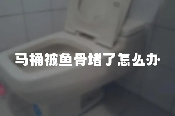 馬桶被魚骨堵了怎么辦