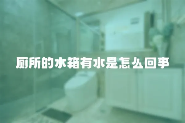 廁所的水箱有水是怎么回事