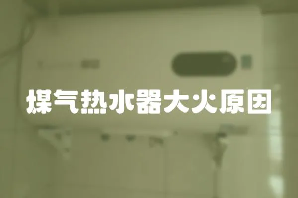 煤氣熱水器大火原因