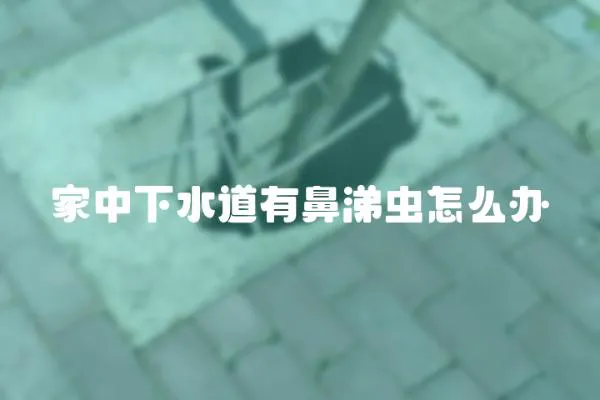 家中下水道有鼻涕蟲怎么辦