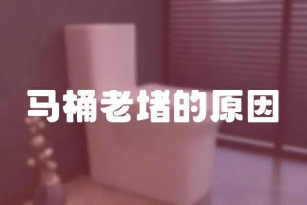 馬桶老堵的原因