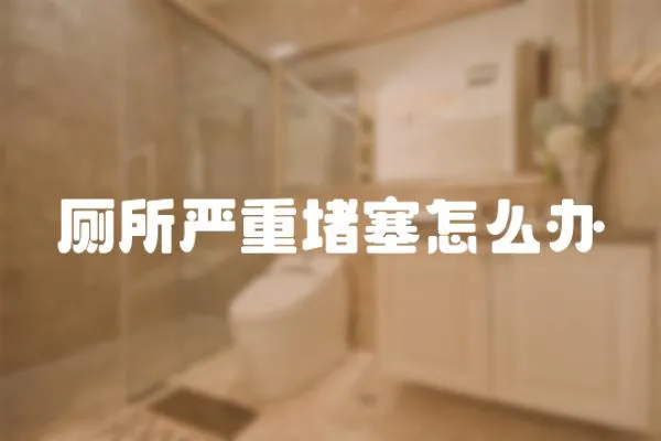 廁所嚴重堵塞怎么辦