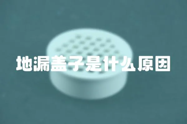 地漏蓋子是什么原因