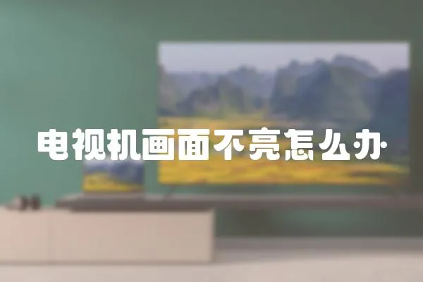 電視機畫面不亮怎么辦