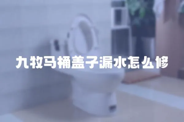 九牧馬桶蓋子漏水怎么修