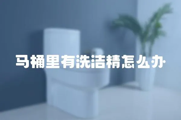 馬桶里有洗潔精怎么辦
