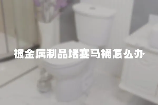 被金屬制品堵塞馬桶怎么辦