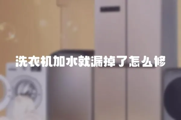 洗衣機加水就漏掉了怎么修