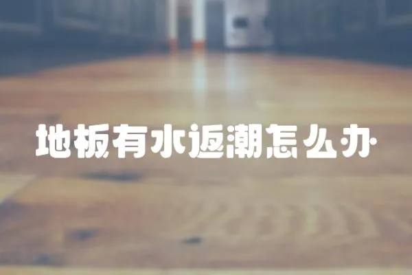 地板有水返潮怎么辦