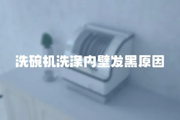 洗碗機洗滌內壁發黑原因