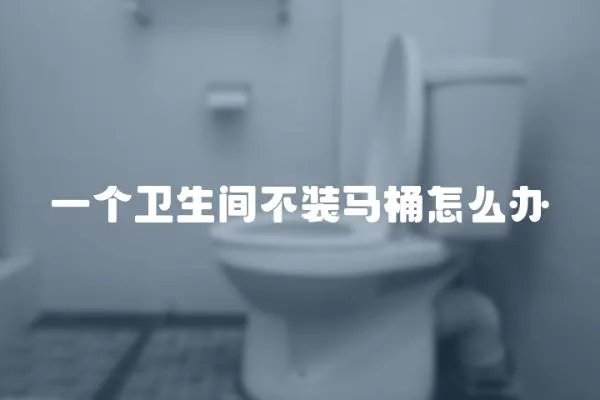 一個(gè)衛(wèi)生間不裝馬桶怎么辦