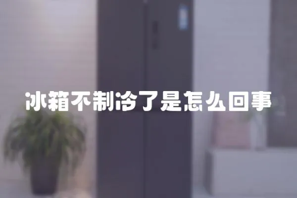 冰箱不制冷了是怎么回事